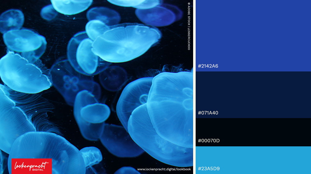 webdesign-farben-lockenpracht-digital_012